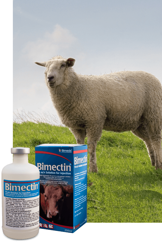 bm-inj-side-sheep