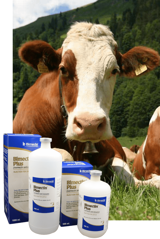 bimectin plus cow