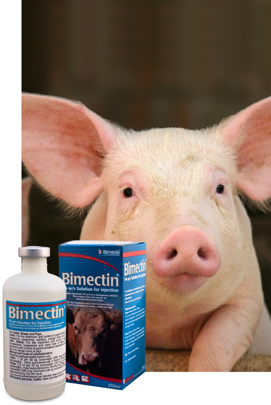 bimectin injection - pig