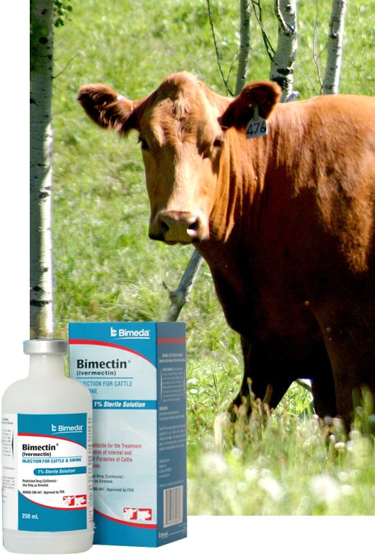 bimectin injection