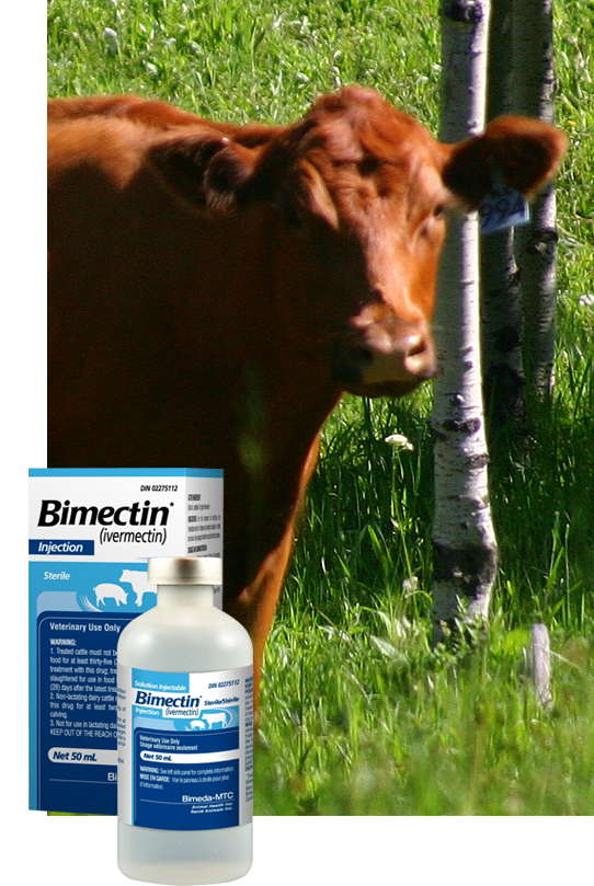 bimectin injection