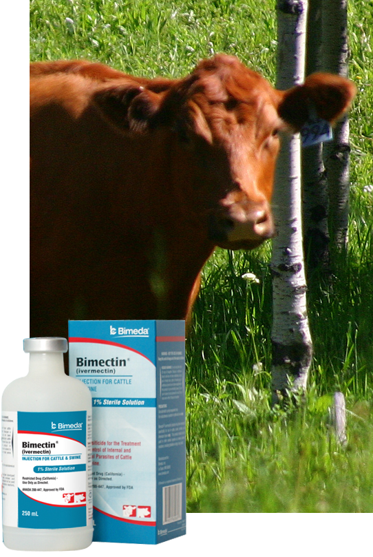 bimectin injection