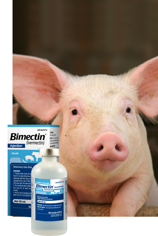 bimectin injection