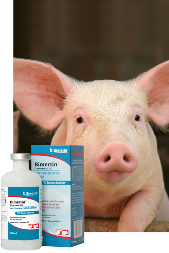 bimectin injection - pig